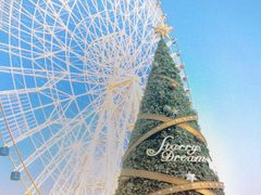 -南昌之星摩天轮