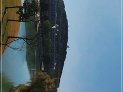 -上海佘山世茂艾美酒店