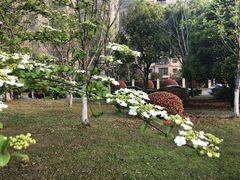 -花园茶楼(兴城西路店)