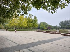 -大望京公园