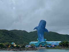 -珠海长隆海洋王国