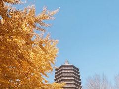 -玲珑塔公园