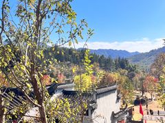 -塔川景区