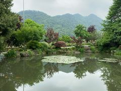 -中国茶叶博物馆(双峰馆区)