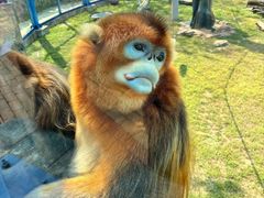 -大连森林动物园