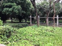 -星海公园(番禺区)