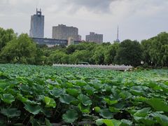 -长春市南湖公园