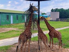 -鄂尔多斯野生动物园