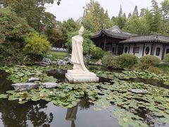 -梅园