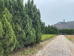 -南沙蒲洲花园