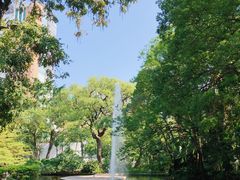-九龙公园