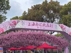 -南汇桃花村