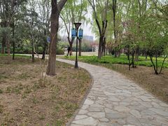-金星公园