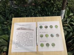 -成都市活水公园