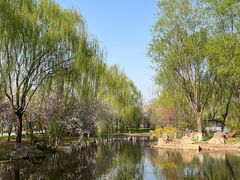 -石家庄市植物园