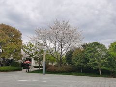 -杭州半山国家森林公园