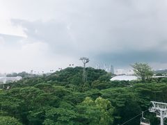 -圣淘沙天际线斜坡滑车