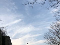 -紫金山天文台