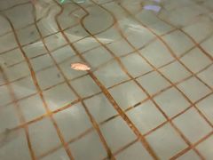-福州贵安·温泉世界