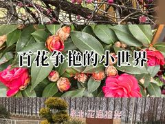 -嘉北郊野公园