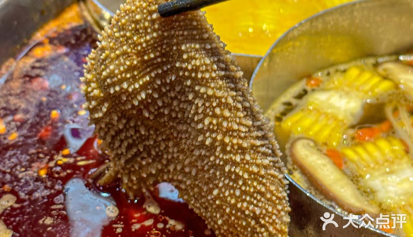 摊牌了！在南京找到我的梦中情火锅了🔥