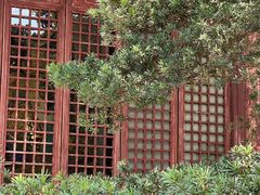 -龙华寺