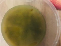 绿豆汤-桂萍特色牛筋牛杂(长堤街总店)