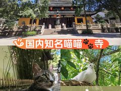 -西园寺