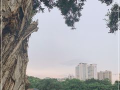 -荔湾湖公园