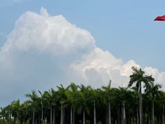 -深圳国际园林花卉博览园