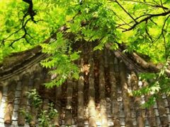 -永定河休闲森林公园