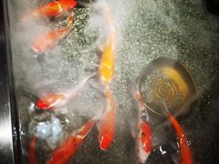 -0776食堂·京城创意菜(七里庄店)