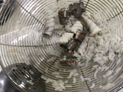 -源港渔村-中山脆肉鲩(博罗店)