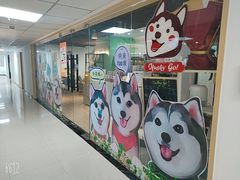 -Husky Go! 哈士奇体验馆·宠物咖啡厅狗咖