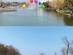 -院士公园