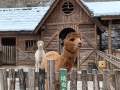 -幽岚山·童话森林
