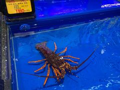 -万宝海鲜舫(劳动公园店)