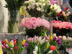 -循礼门鲜花花市(武汉循礼门店)