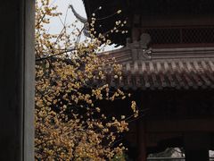 -钱王祠