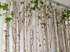-合肥美奥口腔·种植矫正中心(政务院)