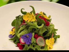 -院里寻菜·精致庭院菜(观沙岭店)