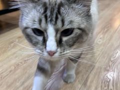 -白兔子密室(长寿路店)