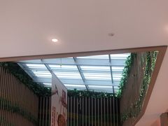 -首开·龙湖成都西宸天街