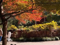 -九曜山