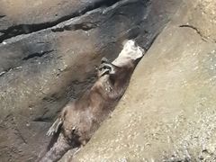 -波塞冬旅游度假区