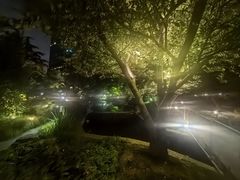 -上海瑞金洲际酒店