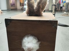-天津美术学院-校史馆