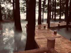 -东湖落雁景区