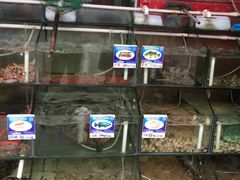 -南海渔家•海鲜•正宗海南菜(海棠湾店)