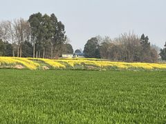 -两河城市森林公园